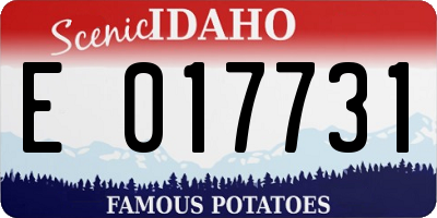 ID license plate E017731