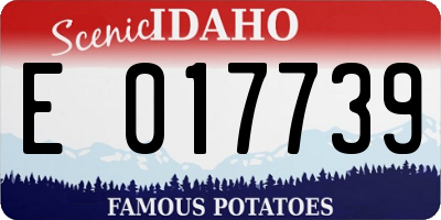 ID license plate E017739