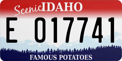 ID license plate E017741