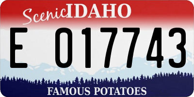 ID license plate E017743