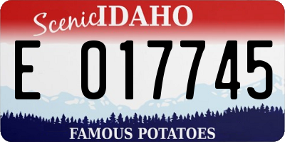 ID license plate E017745