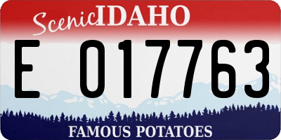 ID license plate E017763