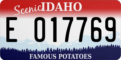 ID license plate E017769