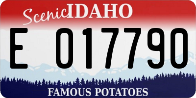 ID license plate E017790