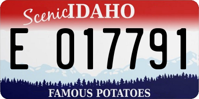 ID license plate E017791