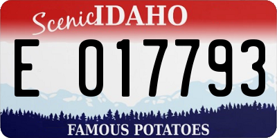 ID license plate E017793