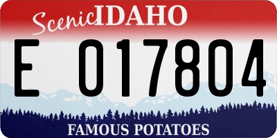 ID license plate E017804