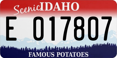 ID license plate E017807