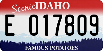 ID license plate E017809