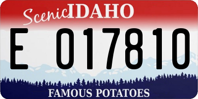 ID license plate E017810