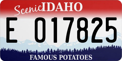 ID license plate E017825