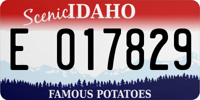 ID license plate E017829