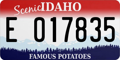 ID license plate E017835