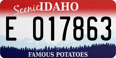 ID license plate E017863