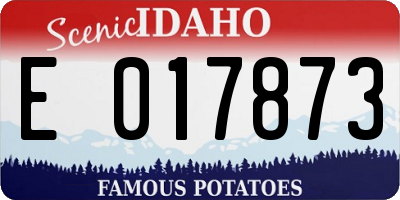 ID license plate E017873