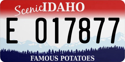 ID license plate E017877