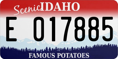 ID license plate E017885