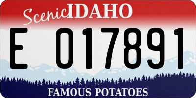 ID license plate E017891