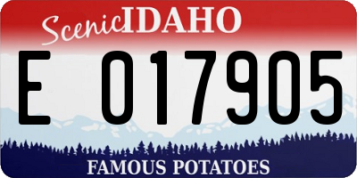 ID license plate E017905