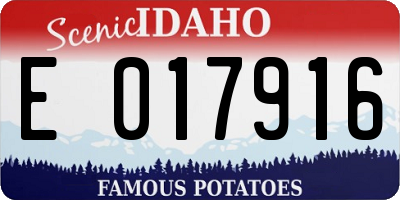 ID license plate E017916