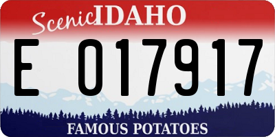 ID license plate E017917