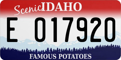 ID license plate E017920