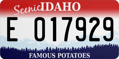 ID license plate E017929