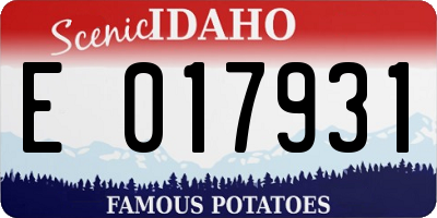 ID license plate E017931