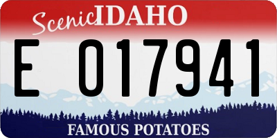 ID license plate E017941