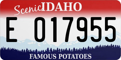 ID license plate E017955