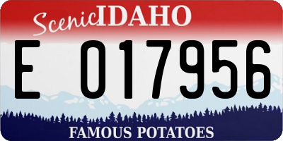 ID license plate E017956