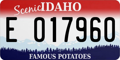 ID license plate E017960