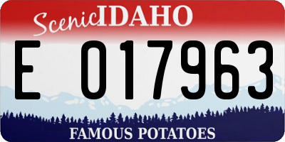 ID license plate E017963