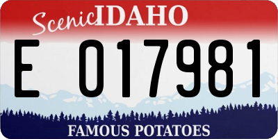 ID license plate E017981