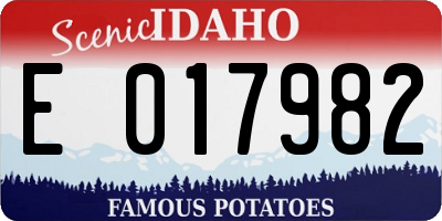 ID license plate E017982