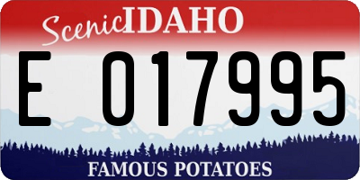 ID license plate E017995