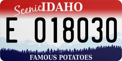 ID license plate E018030