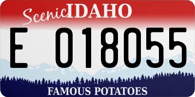 ID license plate E018055