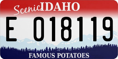 ID license plate E018119