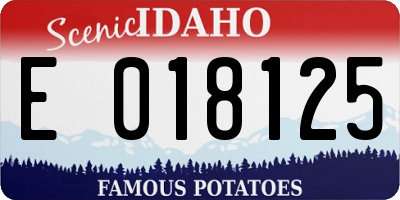 ID license plate E018125