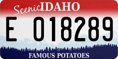 ID license plate E018289