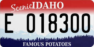 ID license plate E018300