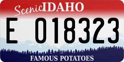 ID license plate E018323