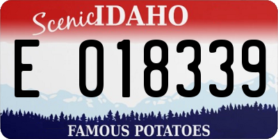 ID license plate E018339