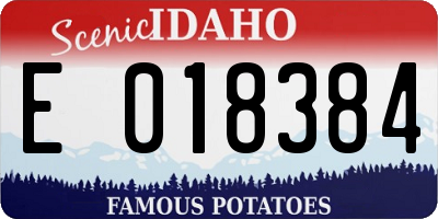 ID license plate E018384
