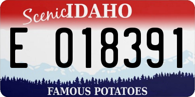 ID license plate E018391