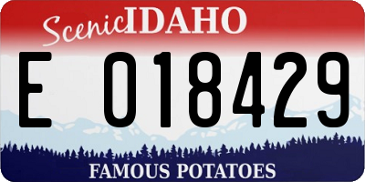 ID license plate E018429
