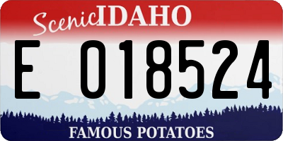 ID license plate E018524