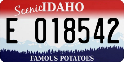 ID license plate E018542