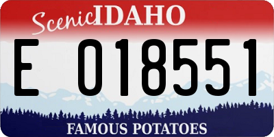 ID license plate E018551